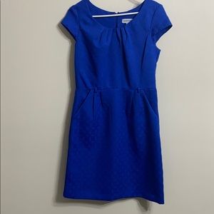 Blue Business Dress NO Belt